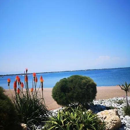 Caraibes - 2 Pieces Au 1er Etage A - Cap Coudalere Mae-8334 Apartment *